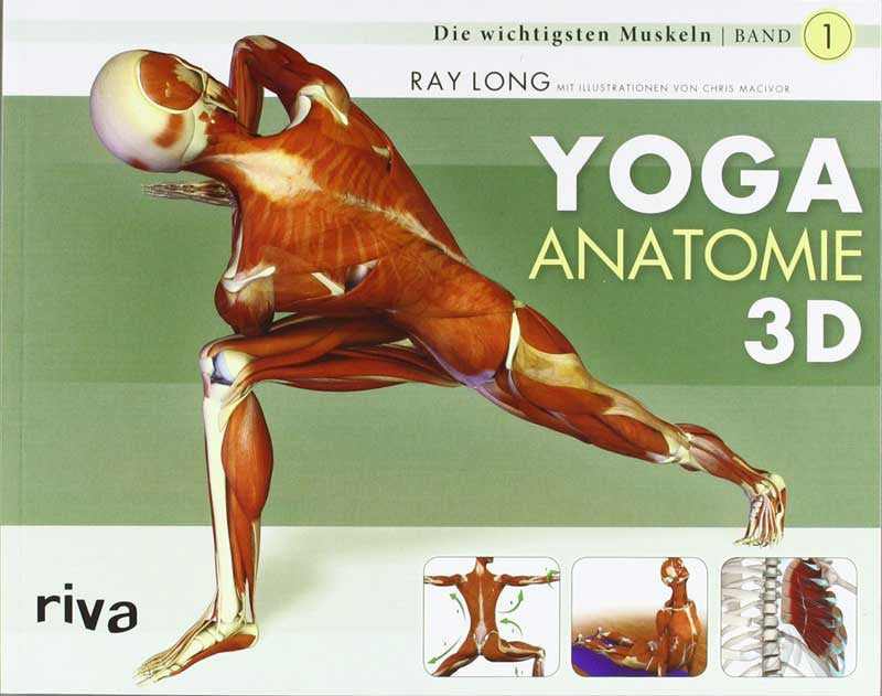 Yoga Anatomie 3D, Band 1: Die wichtigsten Muskeln